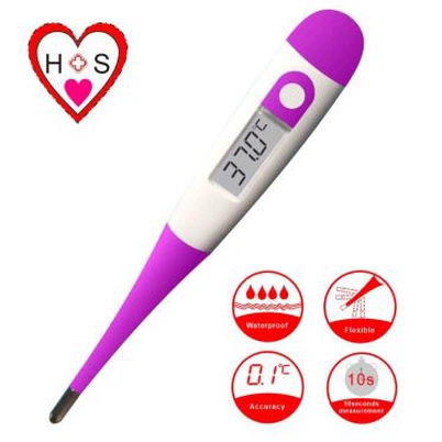 Skaitmeninis momentinio skaitymo termometras