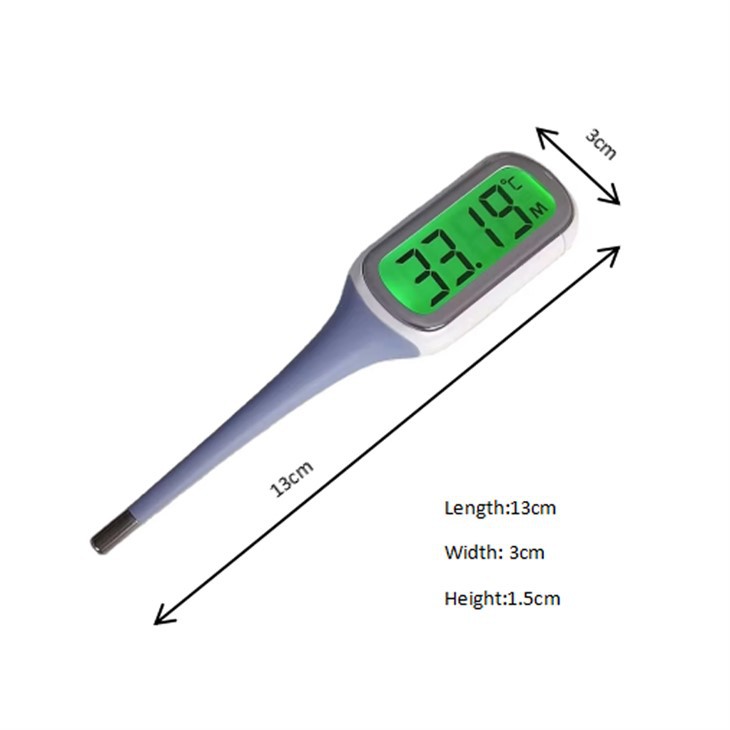 Digital Jumbo LCD Thermometer